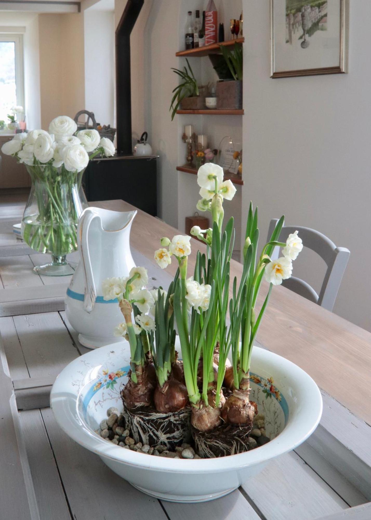 Casa Viola Bed And Breakfast Dimora Di Campagna Calice Ligure Bagian luar foto